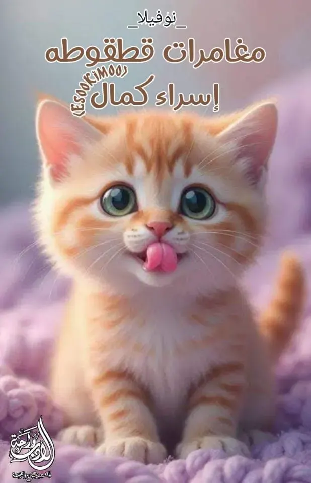 مغامرات قطقوقة